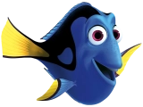 Dory