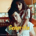 Shawn Mendes & Camila Cabello|Señorita